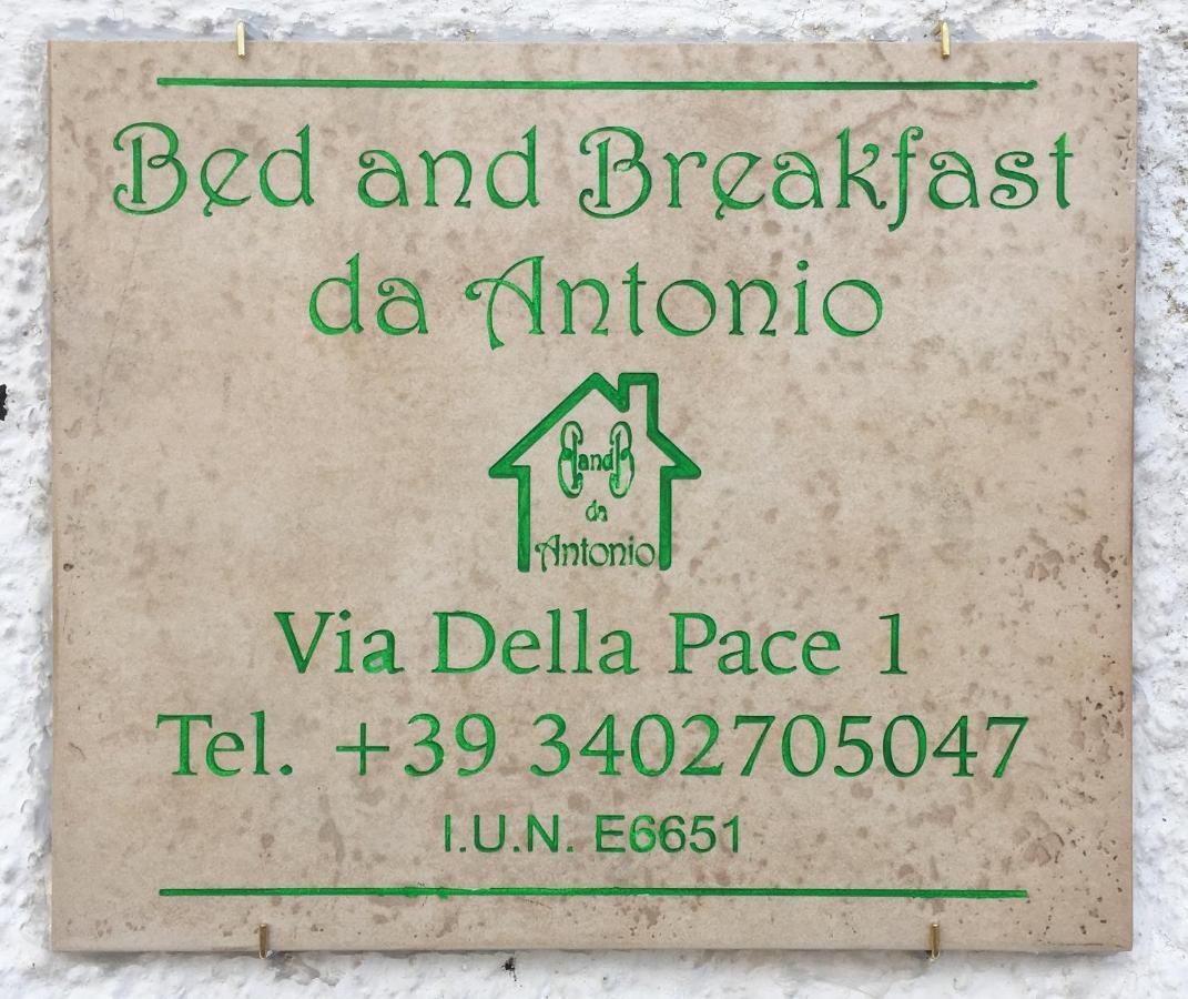 Bed And Breakfast Da Antonio - אורגוסולו מראה חיצוני תמונה