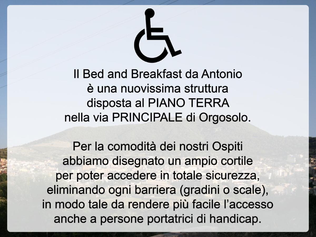 Bed And Breakfast Da Antonio - אורגוסולו מראה חיצוני תמונה