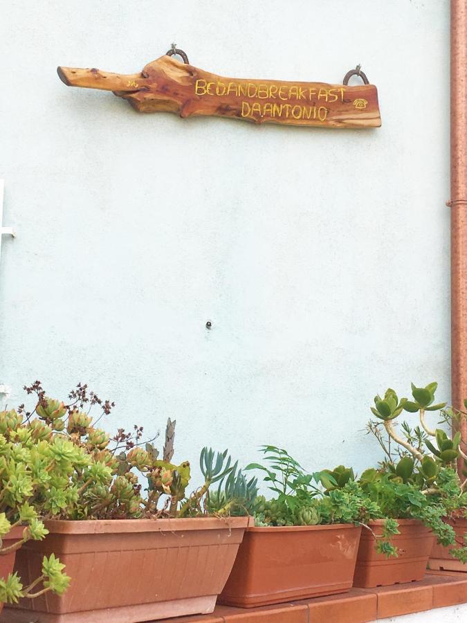 Bed And Breakfast Da Antonio - אורגוסולו מראה חיצוני תמונה